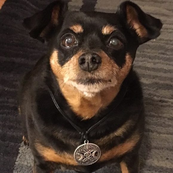 Meet your Posher, Danny - Picture 1 of 1